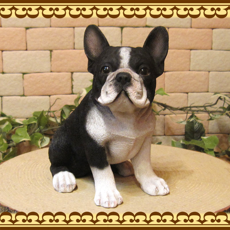 �ꥢ��ʸ�����ʪ���ե����֥�ɥå����֥�å����ۥ磻�ȡ�����  ���¤� ���̤Υե����������֥������ե��奢�������ǥ˥󥰡��٥��������ȡ�