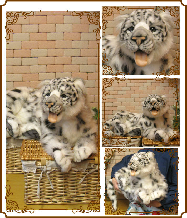 �業�ҥ祦���ӥå����������ꥢ���ɿ�Τ̤�����ߡ�ưʪ���֥�������ʪ�����˥ޥ륰�å����ե����奢������ƥꥢ