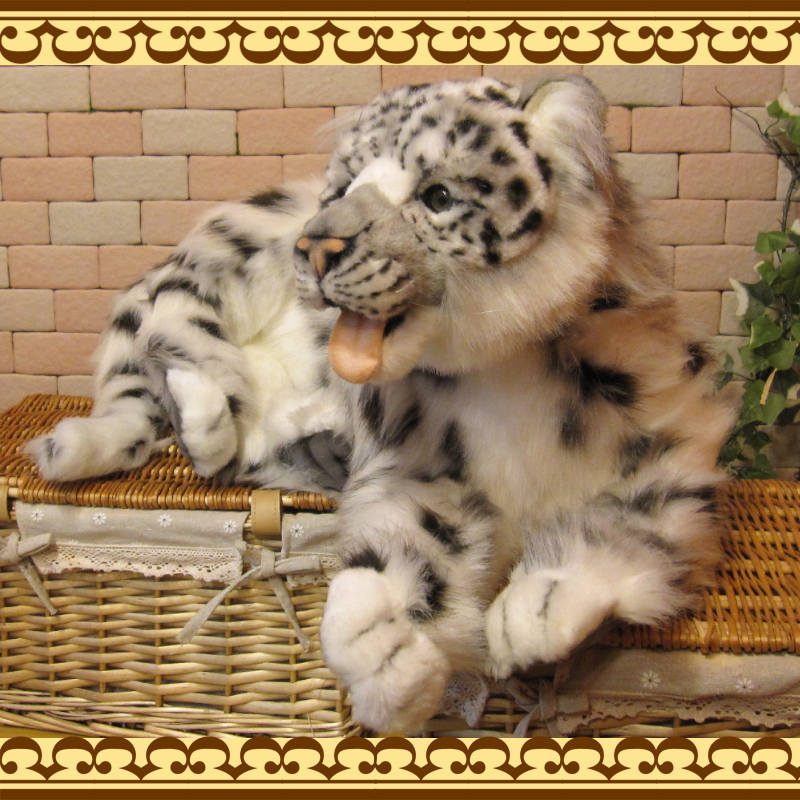 �業�ҥ祦���ӥå����������ꥢ���ɿ�Τ̤�����ߡ�ưʪ���֥�������ʪ�����˥ޥ륰�å����ե����奢������ƥꥢ