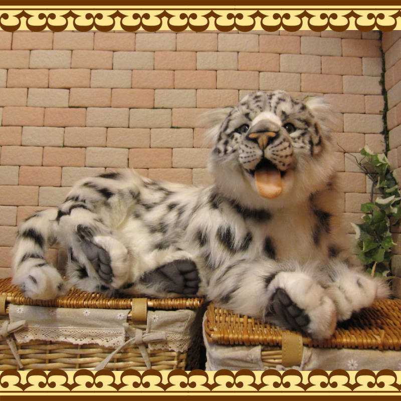 �業�ҥ祦���ӥå����������ꥢ���ɿ�Τ̤�����ߡ�ưʪ���֥�������ʪ�����˥ޥ륰�å����ե����奢������ƥꥢ