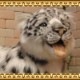 �業�ҥ祦���ӥå����������ꥢ���ɿ�Τ̤�����ߡ�ưʪ���֥�������ʪ�����˥ޥ륰�å����ե����奢������ƥꥢ