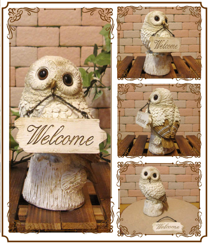 դʪ륫ࡡդեΥե奢롡֥ﵯʪΥƥꥢˤΥʥȤȤƤ