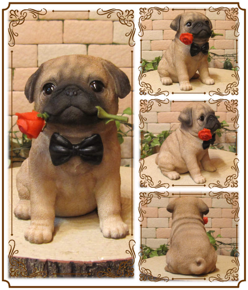 ʪѥǥɥåѥ̡̡ưʪ֥ǥ󥪡ʥȡե奢աƥꥢ衡