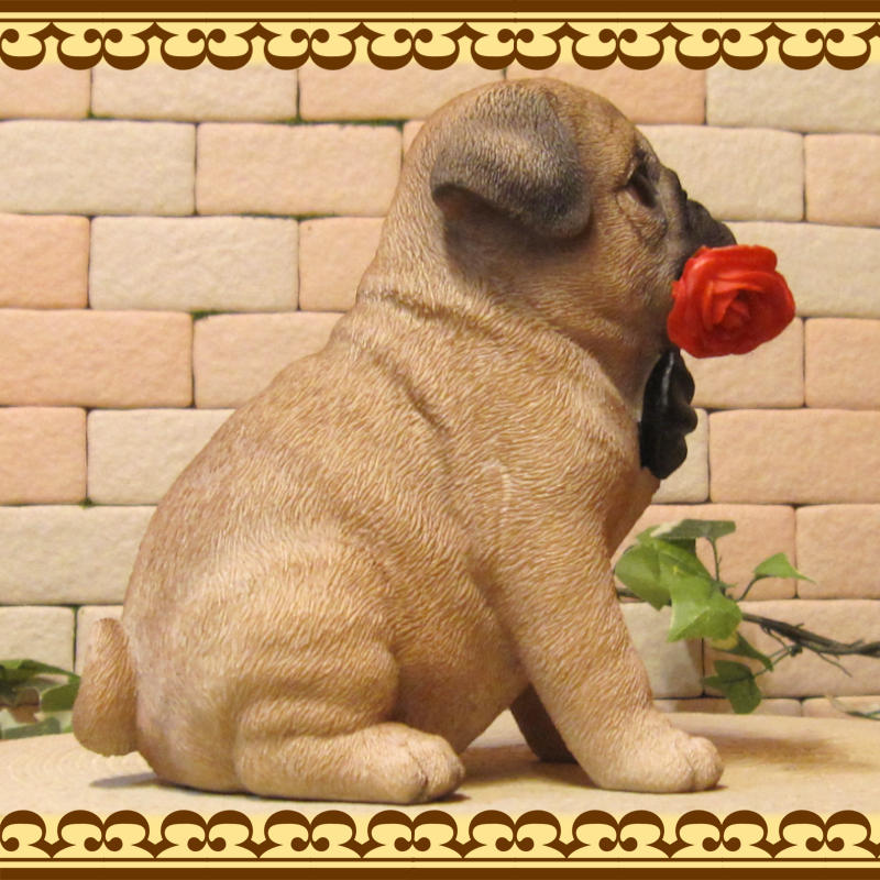 ʪѥǥɥåѥ̡̡ưʪ֥ǥ󥪡ʥȡե奢աƥꥢ衡