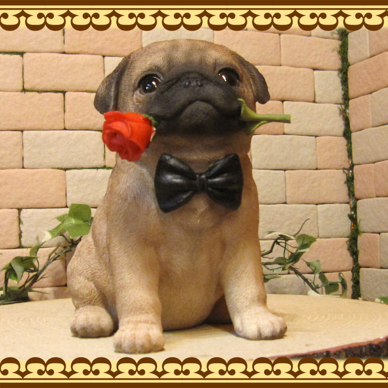 ʪѥǥɥåѥ̡̡ưʪ֥ǥ󥪡ʥȡե奢աƥꥢ衡