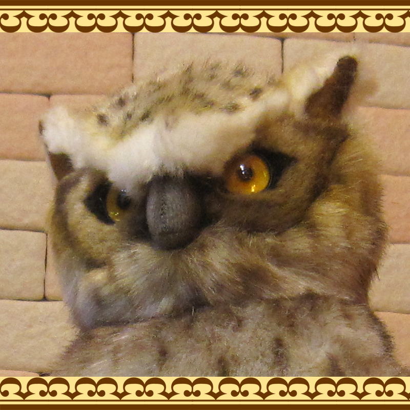 ���ޥե��������ꥢ��ʤդ������Τ̤�����ߡ������륪�֥���������ƥꥢ��Ļ����ʪ���ȥꡡ�С��ɡ��ﵯʪ