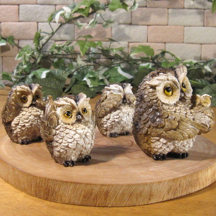 �դ���������ʪ���ۤä��ꡡ�ե������ƻҤΥ��֥������դ������ե��ߥ꡼��C�����ס��������Υ���ƥꥢ�ˤ����Υ����ʥ��ȤȤ��Ƥ⡡