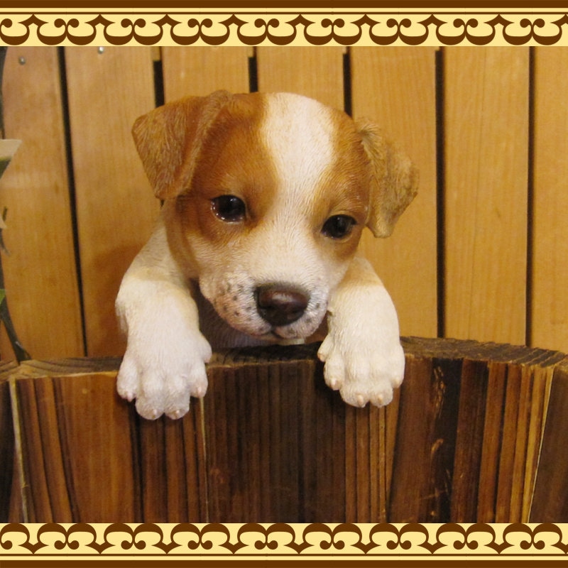 ���������Υ���ƥꥢ�ˤ����Υ����ʥ��ȤȤ��Ƥ�����ꥢ��ʸ�����ʪ���֤餵���ꥸ��å���å���ƥꥢ�����̤Υե�����