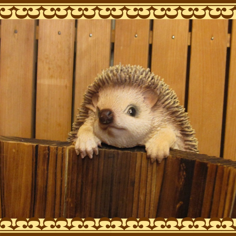 ϥͥߤʪ֤餵ꡡإåۥåꥢ롡Ϥͤߡ֥ǥ󡡥٥ȡʥ