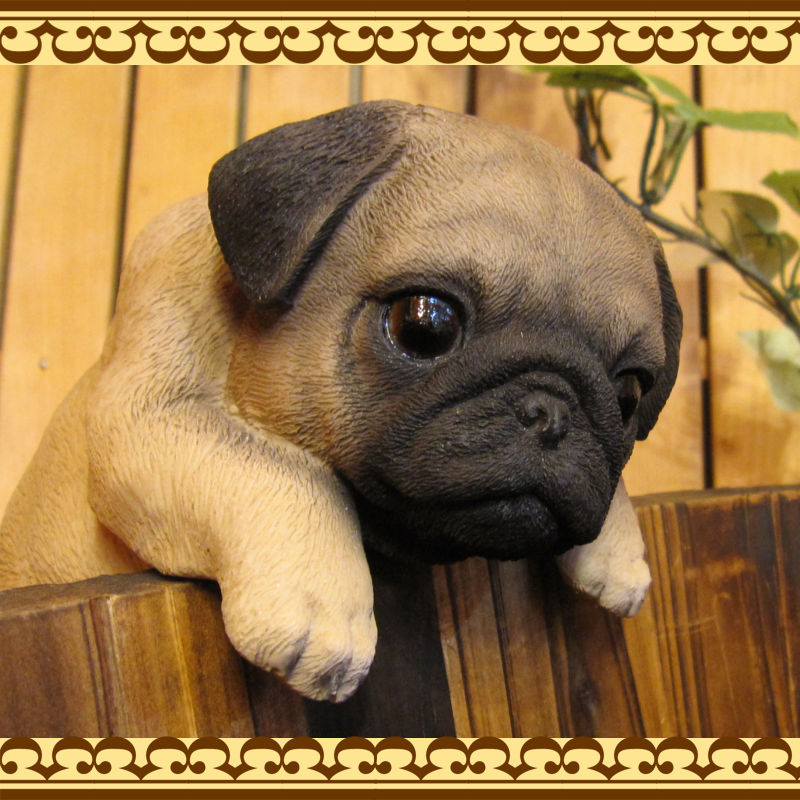 ���������Υ���ƥꥢ�ˤ����Υ����ʥ��ȤȤ��Ƥ�����ꥢ��ʸ�����ʪ���֤餵����ѥ������̤Υե�����