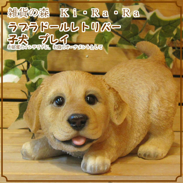 1_000000000995.jpg?1678209906