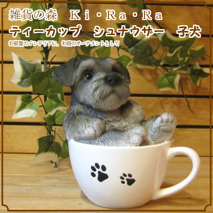 リアルな犬の置物 シュナウザー ティーカップドッグ Bタイプ◇お部屋