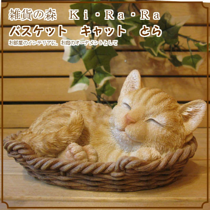 ���������Υ���ƥꥢ�˥����ǥ˥󥰤��Ǻ�ˤˡ��ꥢ��ʻ�ǭ����ʪ���쥸�������Х����åȥ���åȡ��Ȥ顡�ҥͥ��Υե�����