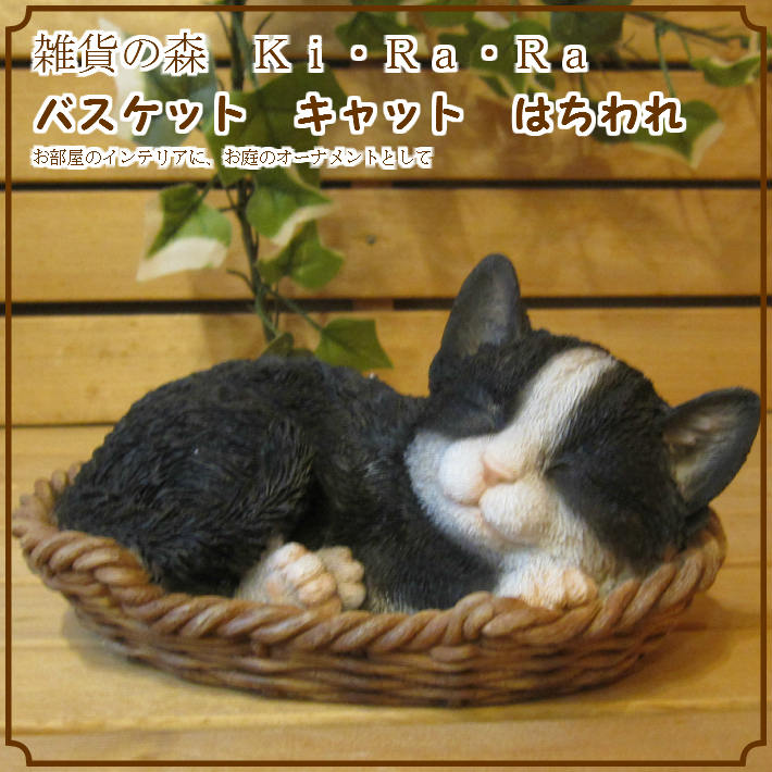 ���������Υ���ƥꥢ�˥����ǥ˥󥰤��Ǻ�ˤˡ��ꥢ��ʻ�ǭ����ʪ���쥸�������Х����åȥ���åȡ�Ȭ��졡�ҥͥ��Υե�����