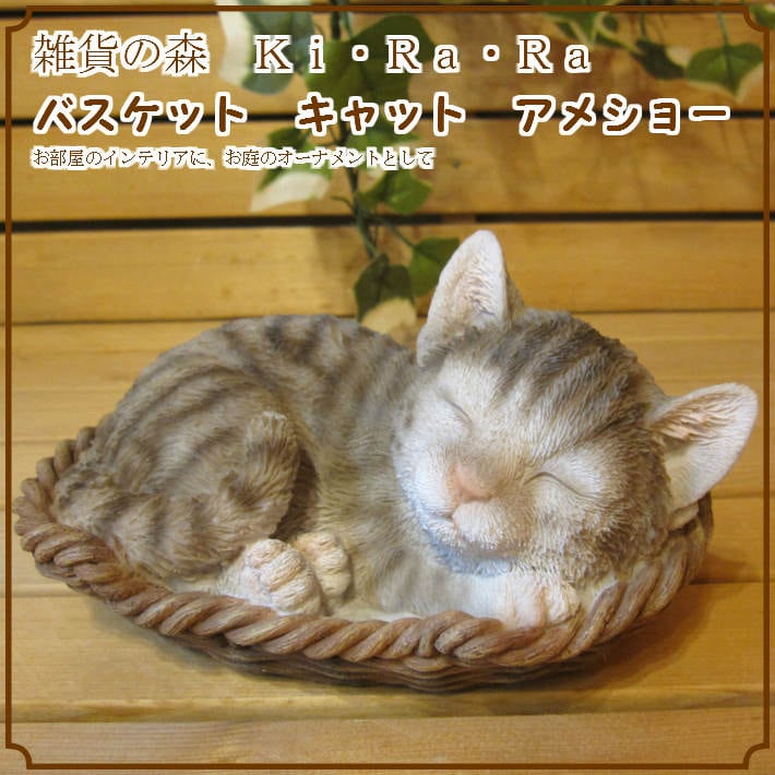 ���������Υ���ƥꥢ�˥����ǥ˥󥰤��Ǻ�ˤˡ��ꥢ��ʻ�ǭ����ʪ���쥸�������Х����åȥ���åȡ����᥷�硼���ҥͥ��Υե�����