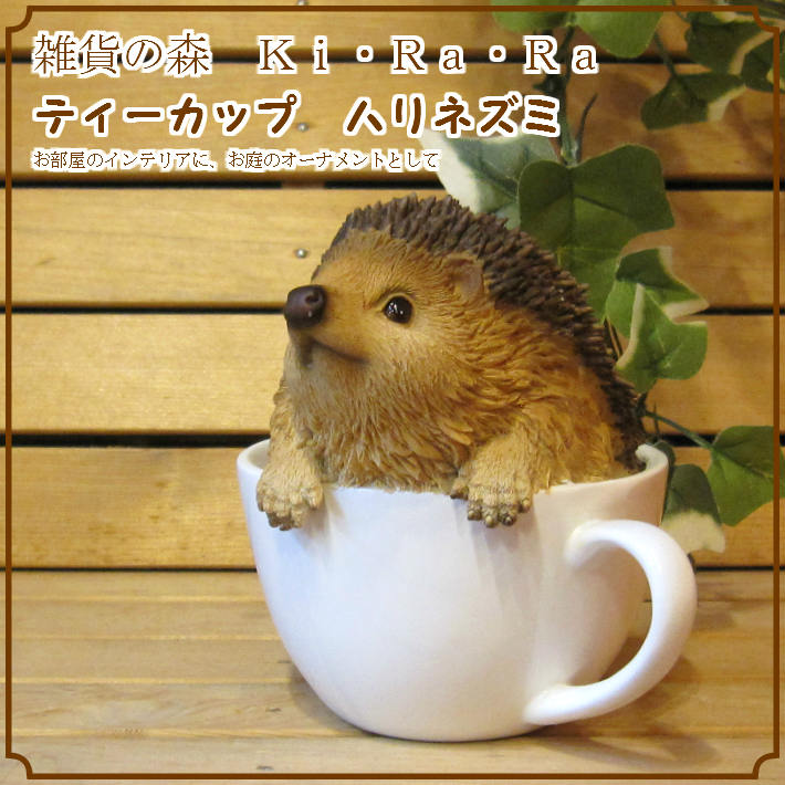 �ꥢ��ʥϥ�ͥ��ߤ���ʪ���ƥ������åס��Ϥ�ͤ��ߡ��������ס��������Υ���ƥꥢ�ˤ����Υ����ʥ��ȤȤ��Ƥ���������ǥ˥󥰡����֥�����������