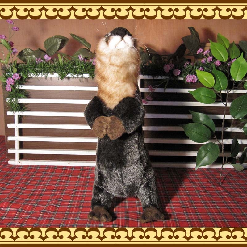 かわうそ タイプB リアルなカワウソのぬいぐるみ | かわいい動物