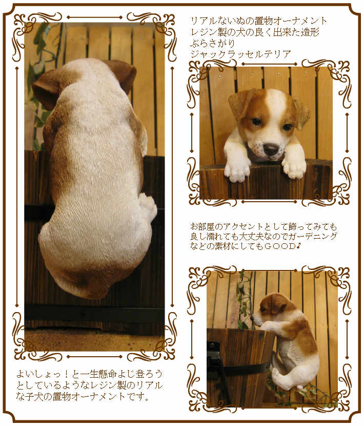 ���������Υ���ƥꥢ�ˤ����Υ����ʥ��ȤȤ��Ƥ�����ꥢ��ʸ�����ʪ���֤餵���ꥸ��å���å���ƥꥢ�����̤Υե�����