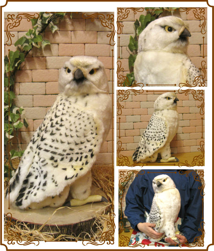 �ϥ�֥����Ϥ�֤����֥������礭���ƥꥢ���Ļ�Τ̤�����ߡ�����ƥꥢ���Ȥ����ʪ���ȥꡡ�С��ɡ��ﵯʪ