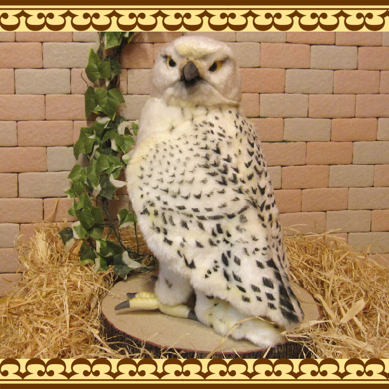 �ϥ�֥����Ϥ�֤����֥������礭���ƥꥢ���Ļ�Τ̤�����ߡ�����ƥꥢ���Ȥ����ʪ���ȥꡡ�С��ɡ��ﵯʪ