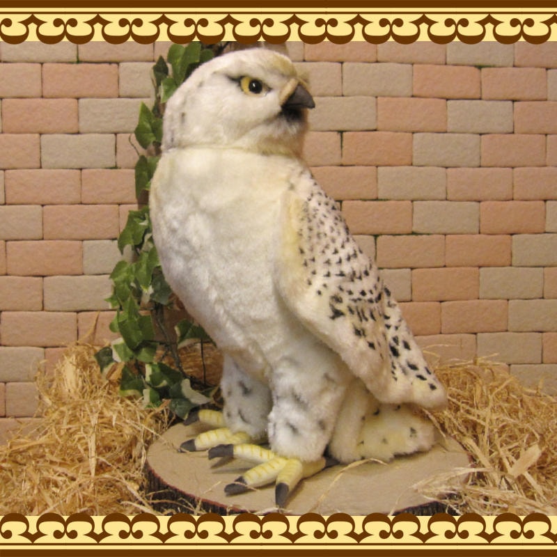 �ϥ�֥����Ϥ�֤����֥������礭���ƥꥢ���Ļ�Τ̤�����ߡ�����ƥꥢ���Ȥ����ʪ���ȥꡡ�С��ɡ��ﵯʪ