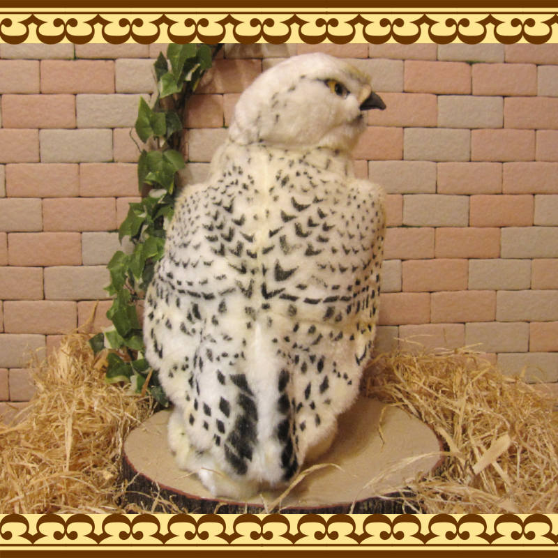 �ϥ�֥����Ϥ�֤����֥������礭���ƥꥢ���Ļ�Τ̤�����ߡ�����ƥꥢ���Ȥ����ʪ���ȥꡡ�С��ɡ��ﵯʪ