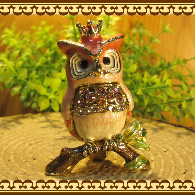 եʪդʪ졡¡桡롡ﵯʪ奨꡼Ȣȥꥱܥåƥꥢ