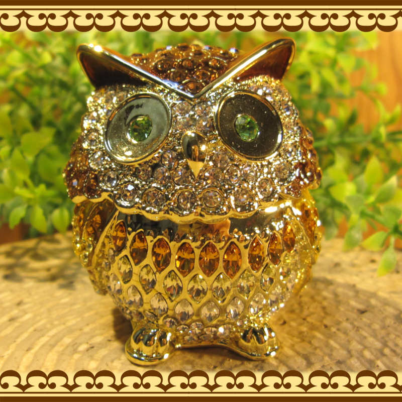 �ե���������ʪ���դ���������ʪ���졡�á��֥饦���桡�����롡�ﵯʪ�����奨�꡼������������Ȣ���ȥꥱ��ܥå���������ƥꥢ