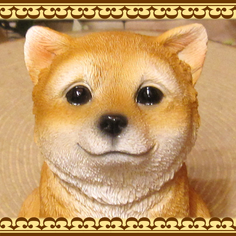 ������ʪ���İ������Ƹ�������Ȣ�������ޤ��ɥå������˥ޥ�Х󥯡��ɥå����֥��������̡����̡����Ф��̡����Ф��󡡥���ƥꥢ