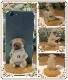 �ꥢ��ʸ�����ʪ���ѥ������ޥۥ�����ɡ��ɥå���C�����ס���塡���ޡ��ȥե��󡡥��ޥۥۥ�������������Υ���ƥꥢ�ˤ����Υ����ʥ��ȤȤ��Ƥ�������Ҥ��̤Υե������������ǥ˥󥰡����֥�����������