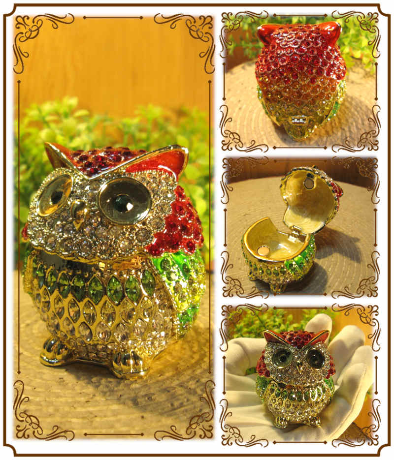 եʪդʪ졡áåɡ桡롡ﵯʪ奨꡼Ȣȥꥱܥåƥꥢ