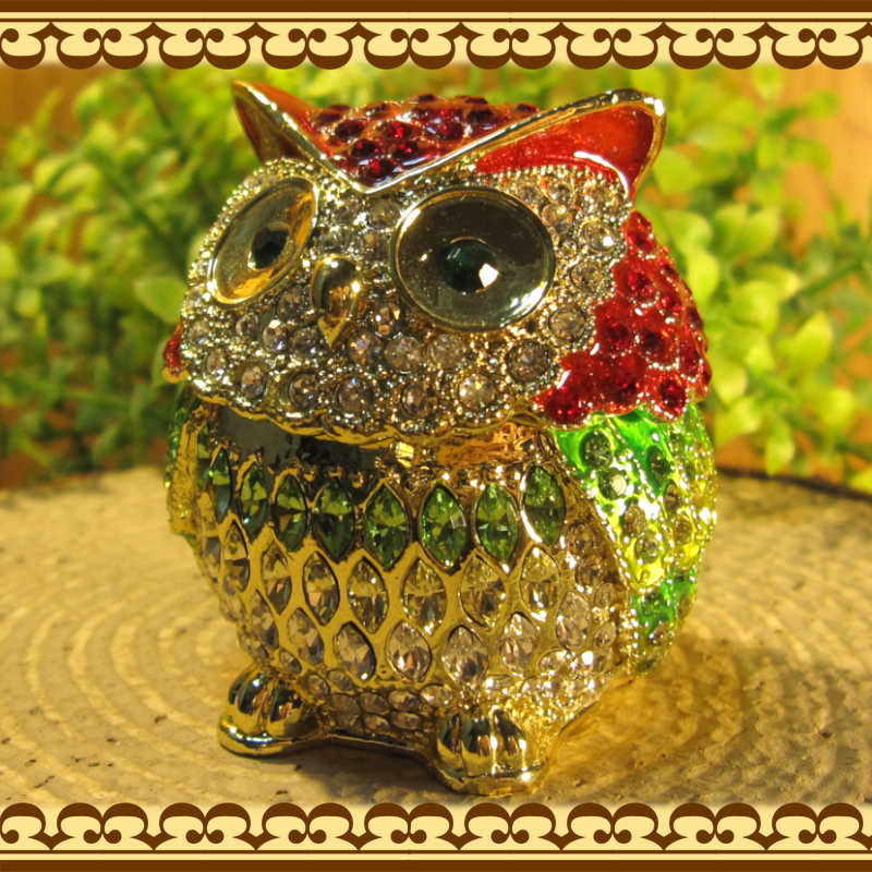 եʪդʪ졡áåɡ桡롡ﵯʪ奨꡼Ȣȥꥱܥåƥꥢ