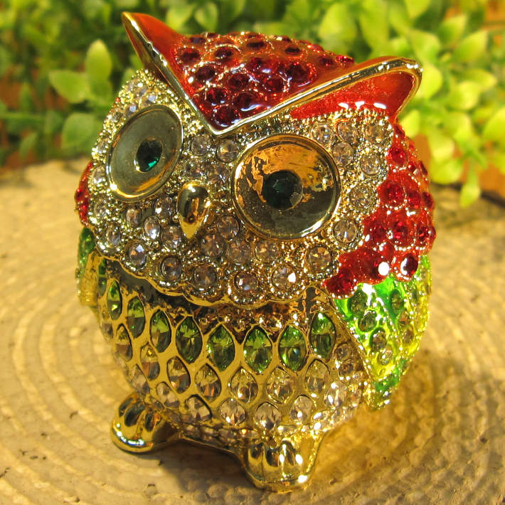 եʪդʪ졡áåɡ桡롡ﵯʪ奨꡼Ȣȥꥱܥåƥꥢ