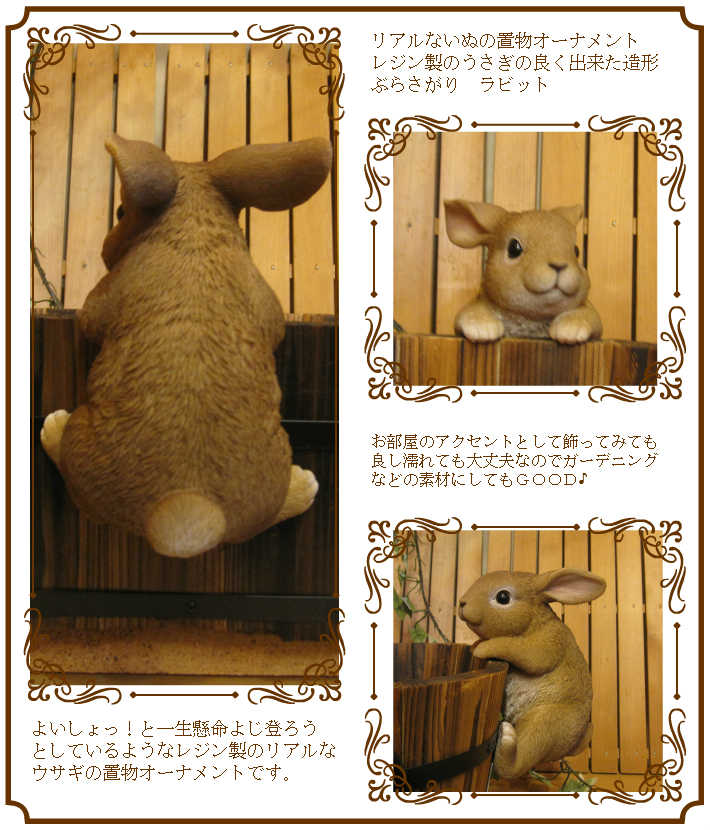 ���������Υ���ƥꥢ�ˤ����Υ����ʥ��ȤȤ��Ƥ�����ꥢ��ʥ���������ʪ���֤餵�����ӥåȡ��������Υե�����