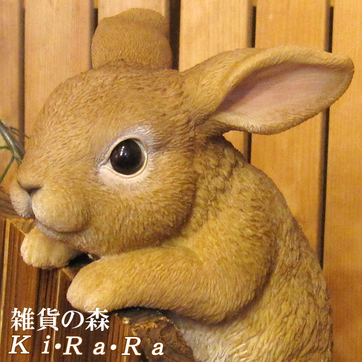 ���������Υ���ƥꥢ�ˤ����Υ����ʥ��ȤȤ��Ƥ�����ꥢ��ʥ���������ʪ���֤餵�����ӥåȡ��������Υե�����