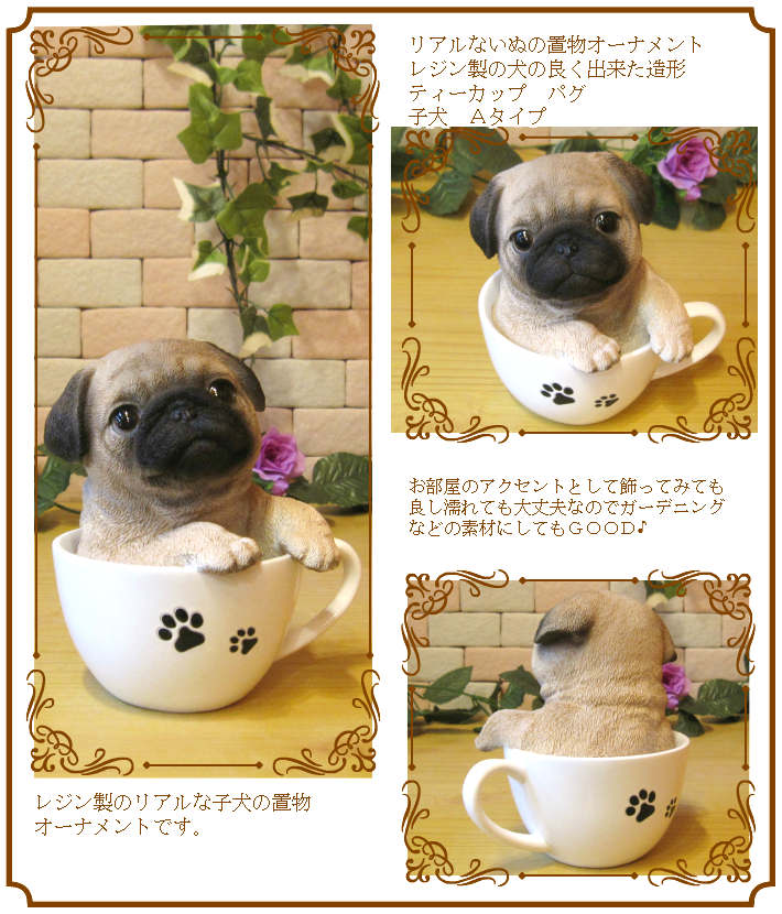 �ꥢ��ʸ�����ʪ���ѥ����ƥ������åץɥå����������ס��������Υ���ƥꥢ�ˤ����Υ����ʥ��ȤȤ��Ƥ�������Ҥ��̤Υե������������ǥ˥󥰡����֥�����������