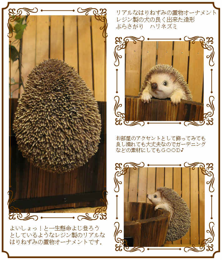 ϥͥߤʪ֤餵ꡡإåۥåꥢ롡Ϥͤߡ֥ǥ󡡥٥ȡʥ