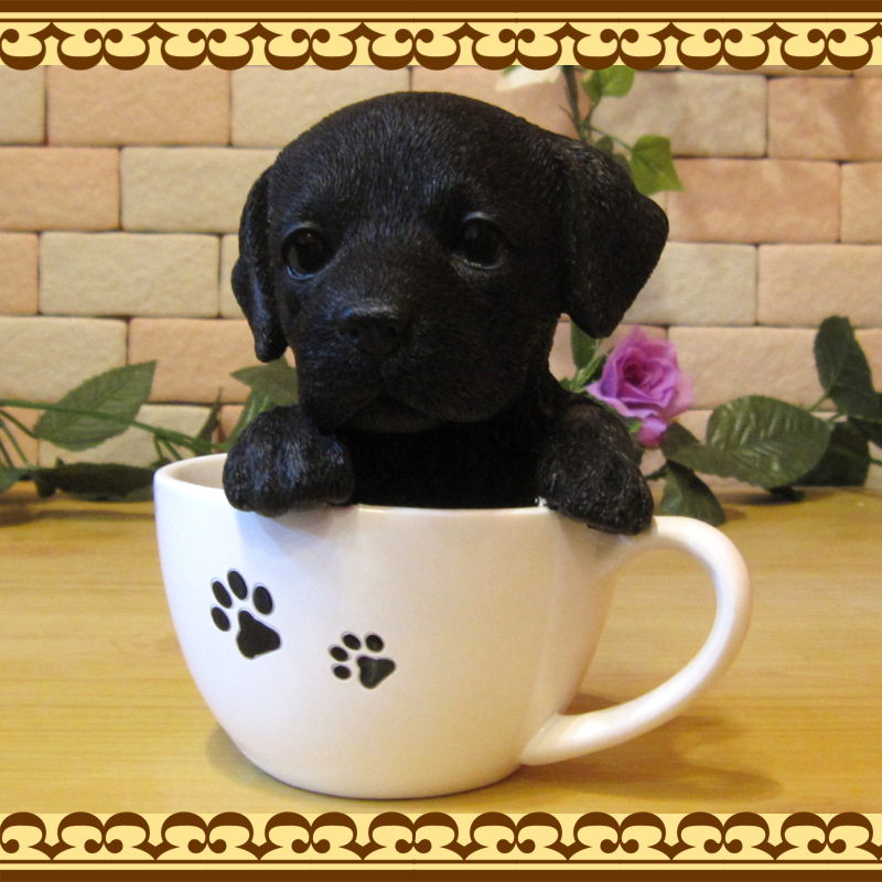 �ꥢ��ʸ�����ʪ����֥�ɡ����ȥ�С����֥�å����ƥ������åץɥå����������ס��������Υ���ƥꥢ�ˤ����Υ����ʥ��ȤȤ��Ƥ�������Ҥ��̤Υե������������ǥ˥󥰡����֥�����������