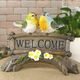 Ļ����ʪ���С��ɥ����륫�ॵ���󥪡��ʥ��ȡ��ڥ����Ȥꡡ�����ǥ󡡥��֥������٥��������ȡ�����ƥꥢ