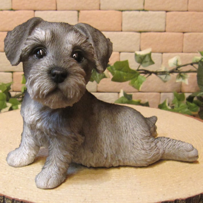 ������ʪ������ʥ��������Ҥ��̡��ٷ��桪�������ǥ󡡥����ʥ��ȡ��������٥��������ȡ����̥��֥������ե����奢�������ǥ˥󥰡�������