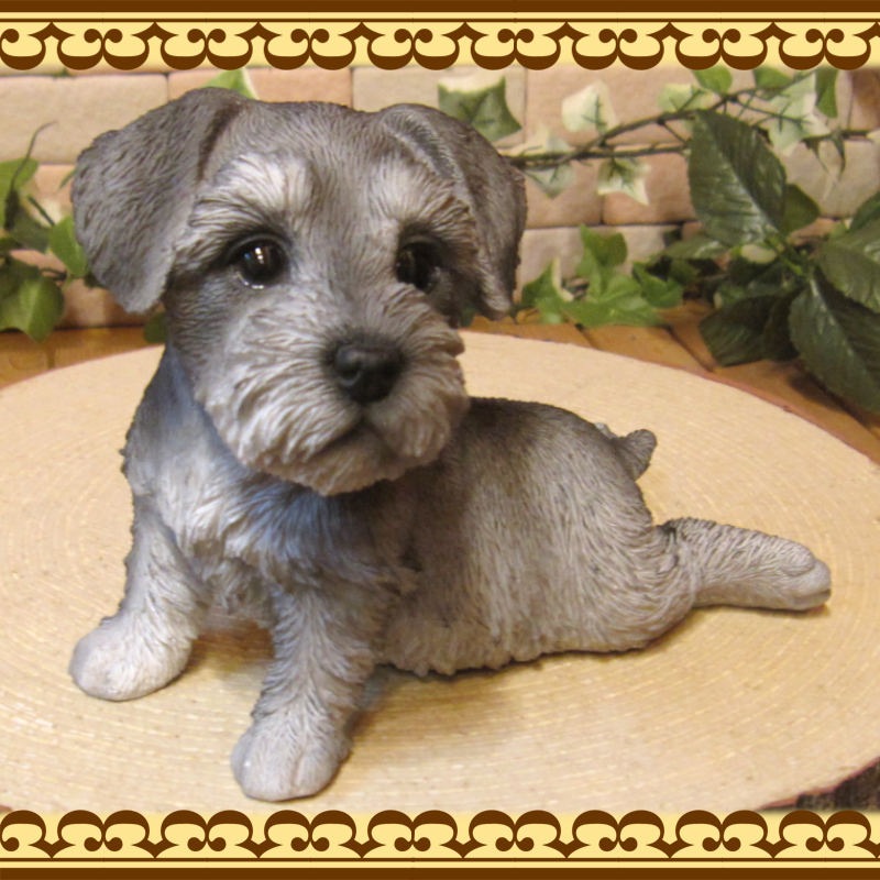 ������ʪ������ʥ��������Ҥ��̡��ٷ��桪�������ǥ󡡥����ʥ��ȡ��������٥��������ȡ����̥��֥������ե����奢�������ǥ˥󥰡�������