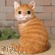 �ꥢ���ǭ����ʪ���������������åȡ�����ȥ顡�ͤ����쥸�����ͥ��Υե�������ǭ�Υ��֥����������ǥ˥󥰡��������Υ���ƥꥢ�˥����ǥ˥󥰤��Ǻ��
