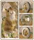 �ꥢ��ʤ���������ʪ���������롡��ӥåȡ������������֥����������ǥ˥󥰡�Ź�������������󥿡�������ƥꥢ