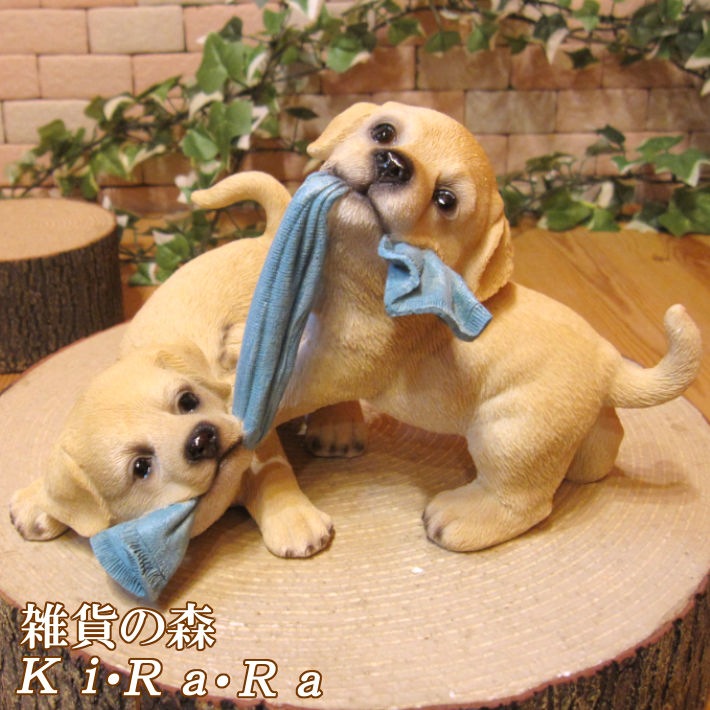 �ꥢ��ʸ�����ʪ����֥�ɡ����ȥ�С����ĥ��󥺡��ɥå����Ҥ��̡������ǥ����������֥����������ʥ��ȡ��٥��������ȡ����̥��֥������ե����奢