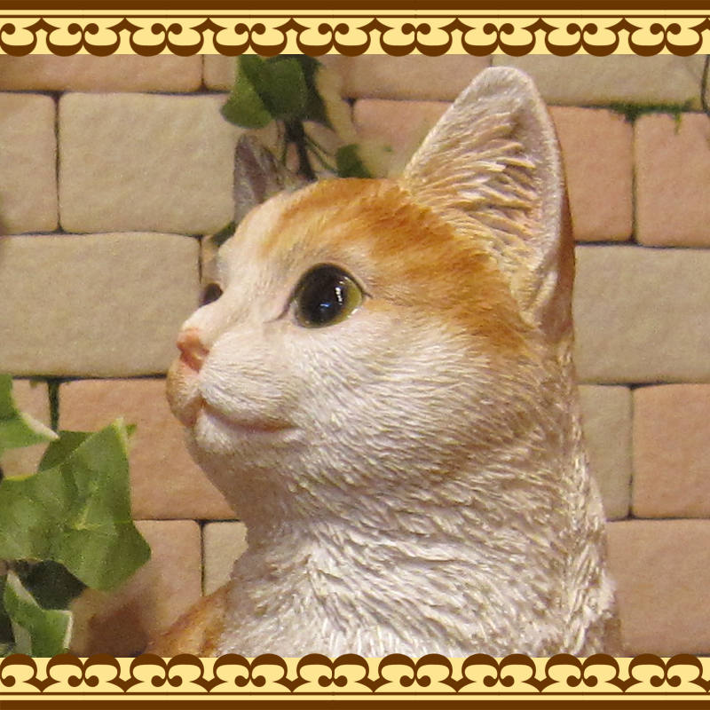 �ꥢ��ʥͥ�����ʪ�����¤ꥭ��åȡ��ߥ����ͤ��Υե����奢������ǭ���֥������������Υ���ƥꥢ�ˤ����Υ����ʥ��ȤȤ���