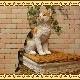 �ꥢ��ʥͥ�����ʪ�����¤ꥭ��åȡ��ߥ����ͤ��Υե����奢������ǭ���֥������������Υ���ƥꥢ�ˤ����Υ����ʥ��ȤȤ���