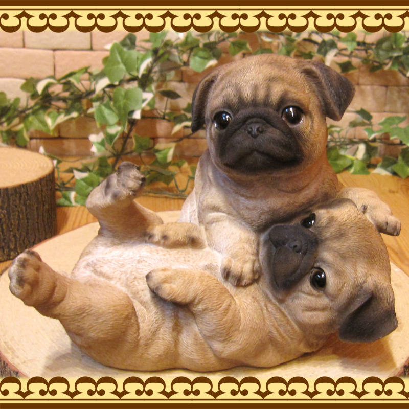 �ꥢ��ʸ�����ʪ���ѥ����ĥ��󥺡��ɥå����Ҥ��̡������ǥ����������֥����������ʥ��ȡ��٥��������ȡ����̥��֥������ե����奢