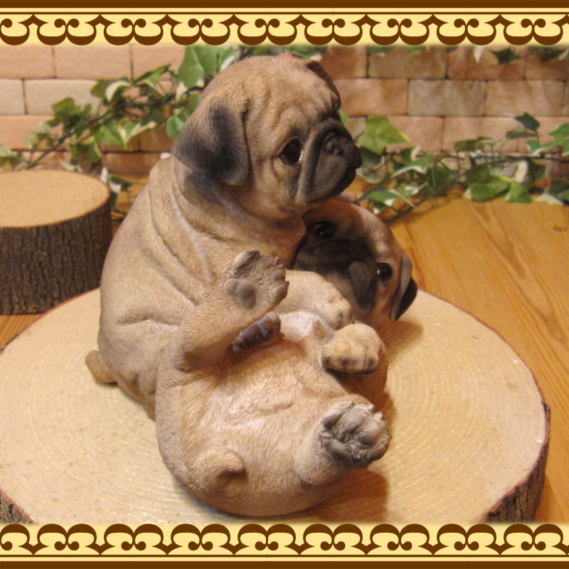 �ꥢ��ʸ�����ʪ���ѥ����ĥ��󥺡��ɥå����Ҥ��̡������ǥ����������֥����������ʥ��ȡ��٥��������ȡ����̥��֥������ե����奢