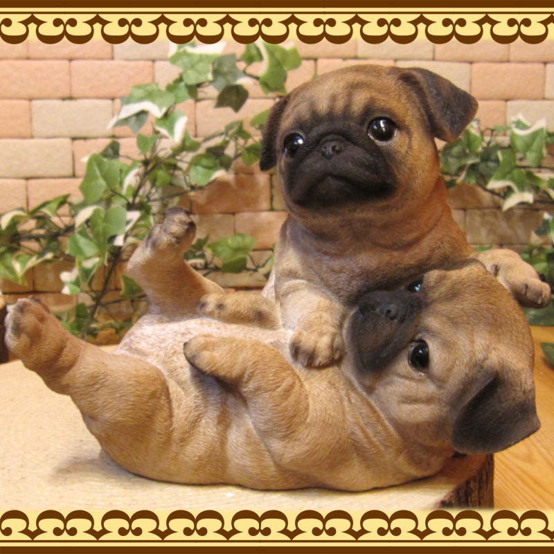 �ꥢ��ʸ�����ʪ���ѥ����ĥ��󥺡��ɥå����Ҥ��̡������ǥ����������֥����������ʥ��ȡ��٥��������ȡ����̥��֥������ե����奢