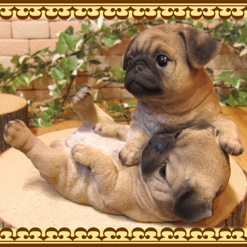 �ꥢ��ʸ�����ʪ���ѥ����ĥ��󥺡��ɥå����Ҥ��̡������ǥ����������֥����������ʥ��ȡ��٥��������ȡ����̥��֥������ե����奢
